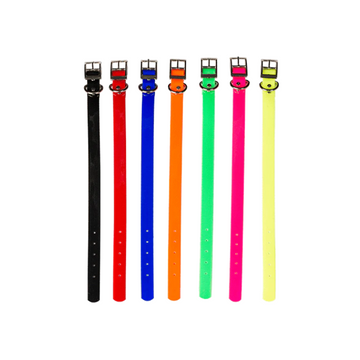 3/4" Dayglo Collars w/D Ring (Non-Reflective)